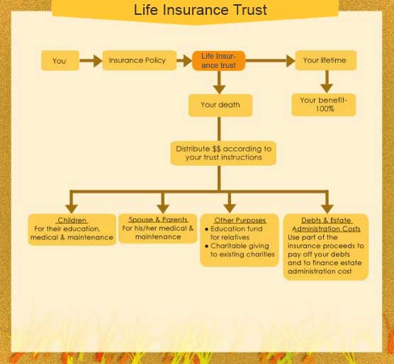 Life Insurance Trust
