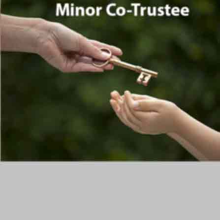 Minor Trustee With Without Fund