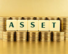 Asset Information