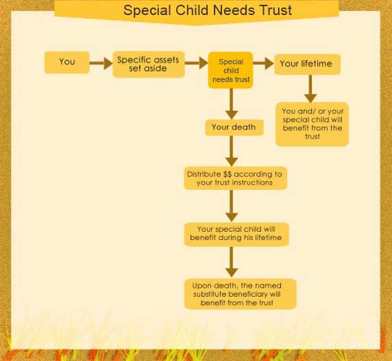 Special Child Needs Trust
